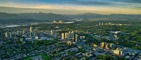 city of surrey phone number